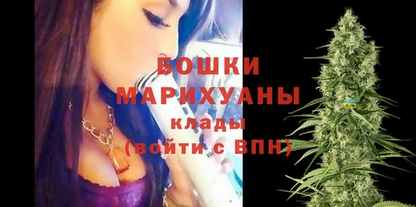 соль ск Арсеньев