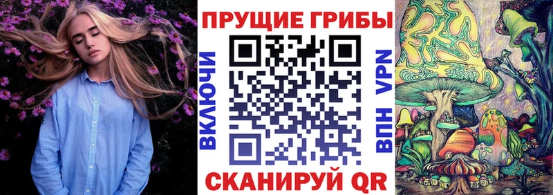 Псилоцибиновые грибы Magic Shrooms  Спасск-Рязанский 